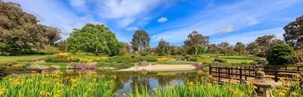 Japanese Garden - Cowra 